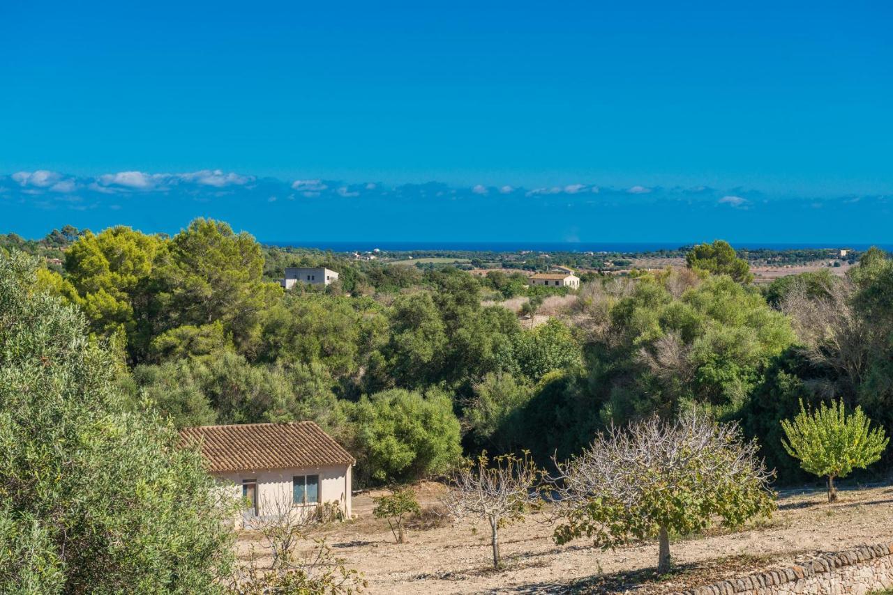 Finca Son Colom Manacor  Exterior photo